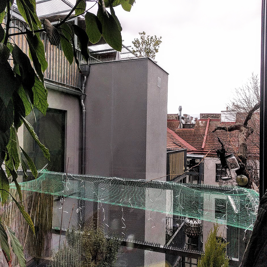 Koelbl Radojkovic 058